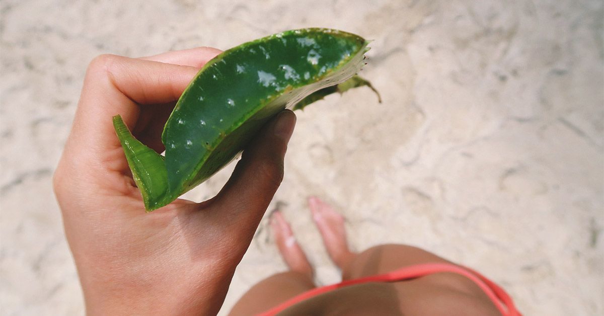 How to Use Aloe Vera for Sunburn Relief and Skin Recovery